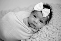 DSC_1789-Edit
