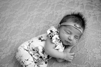 DSC_1747-2Edit