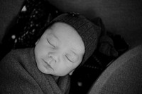 AAL_8162-Edit.2jpg