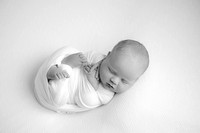 AAL_5592-2Edit