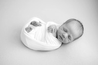 AAL_7771-2Edit